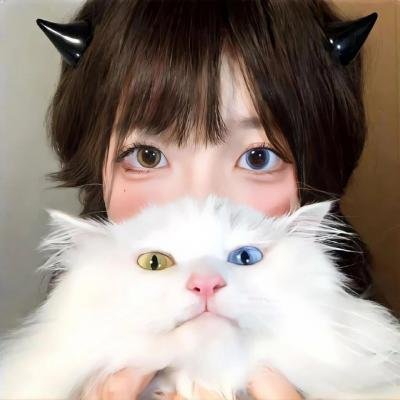 上位